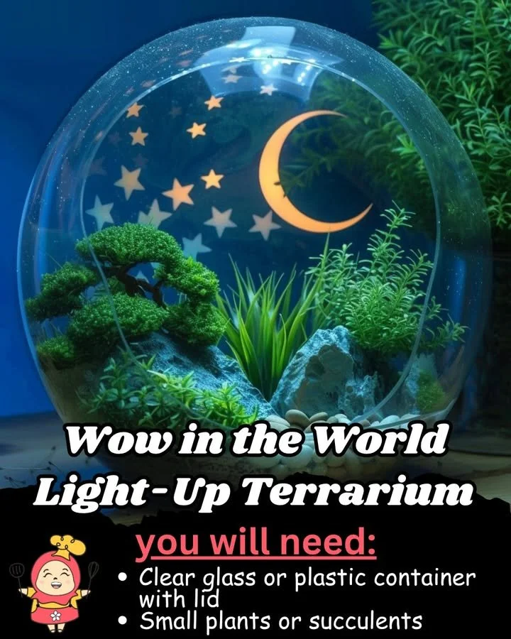 Leuchtendes Terrarium im Dunkeln