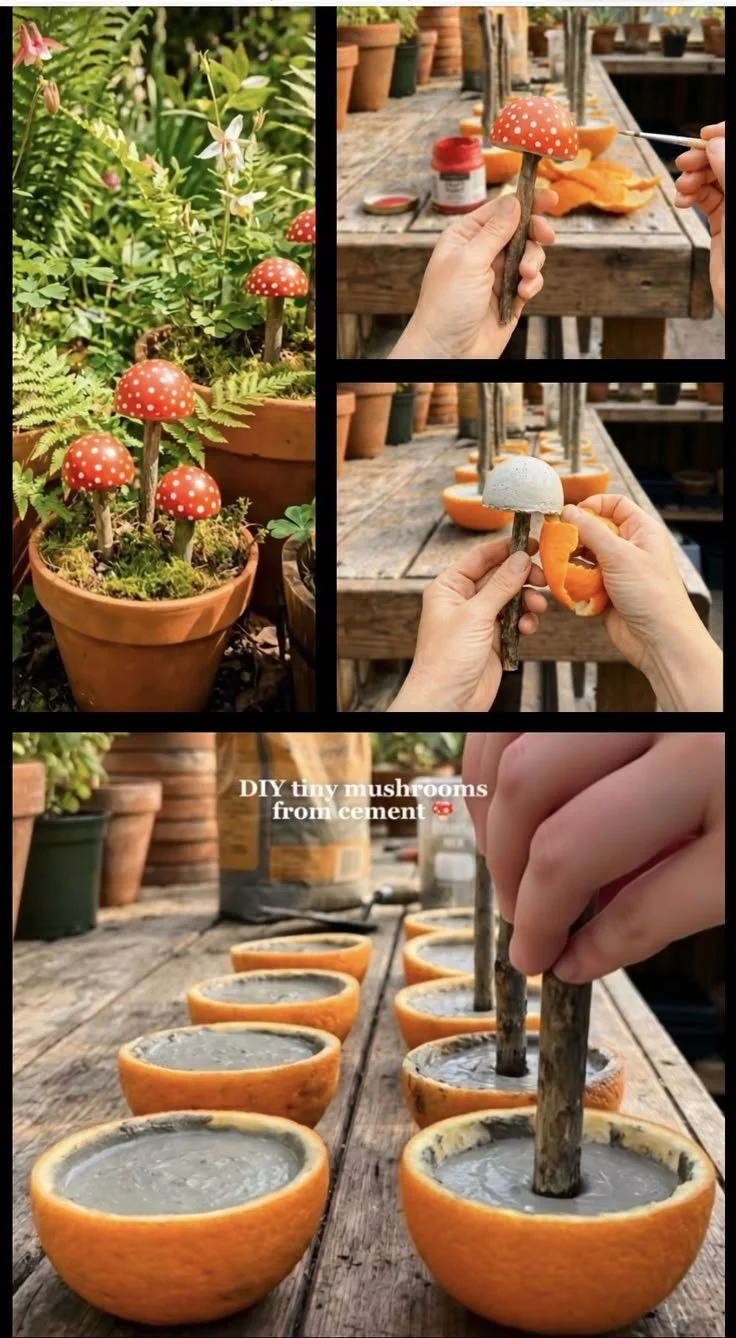 Gefüllte Champignons